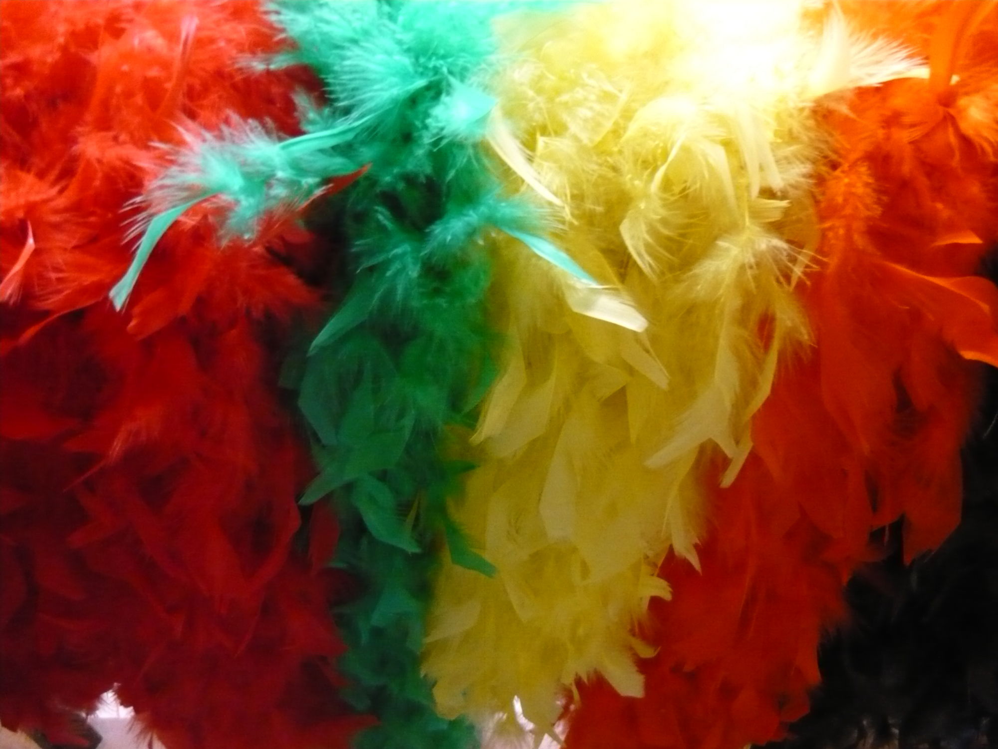 Marabou di piume colorate - immagine 5