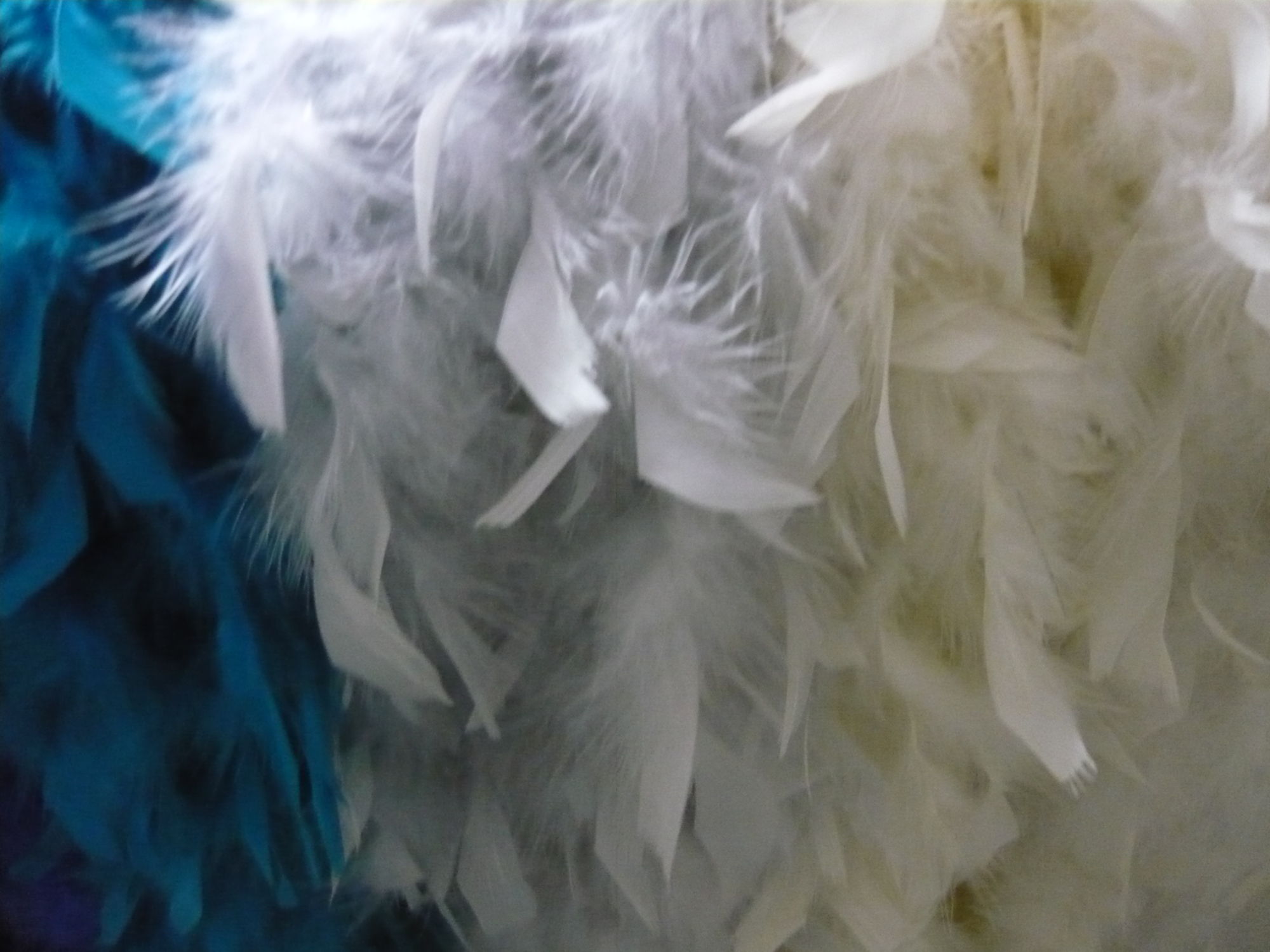 Marabou di piume colorate - immagine 3