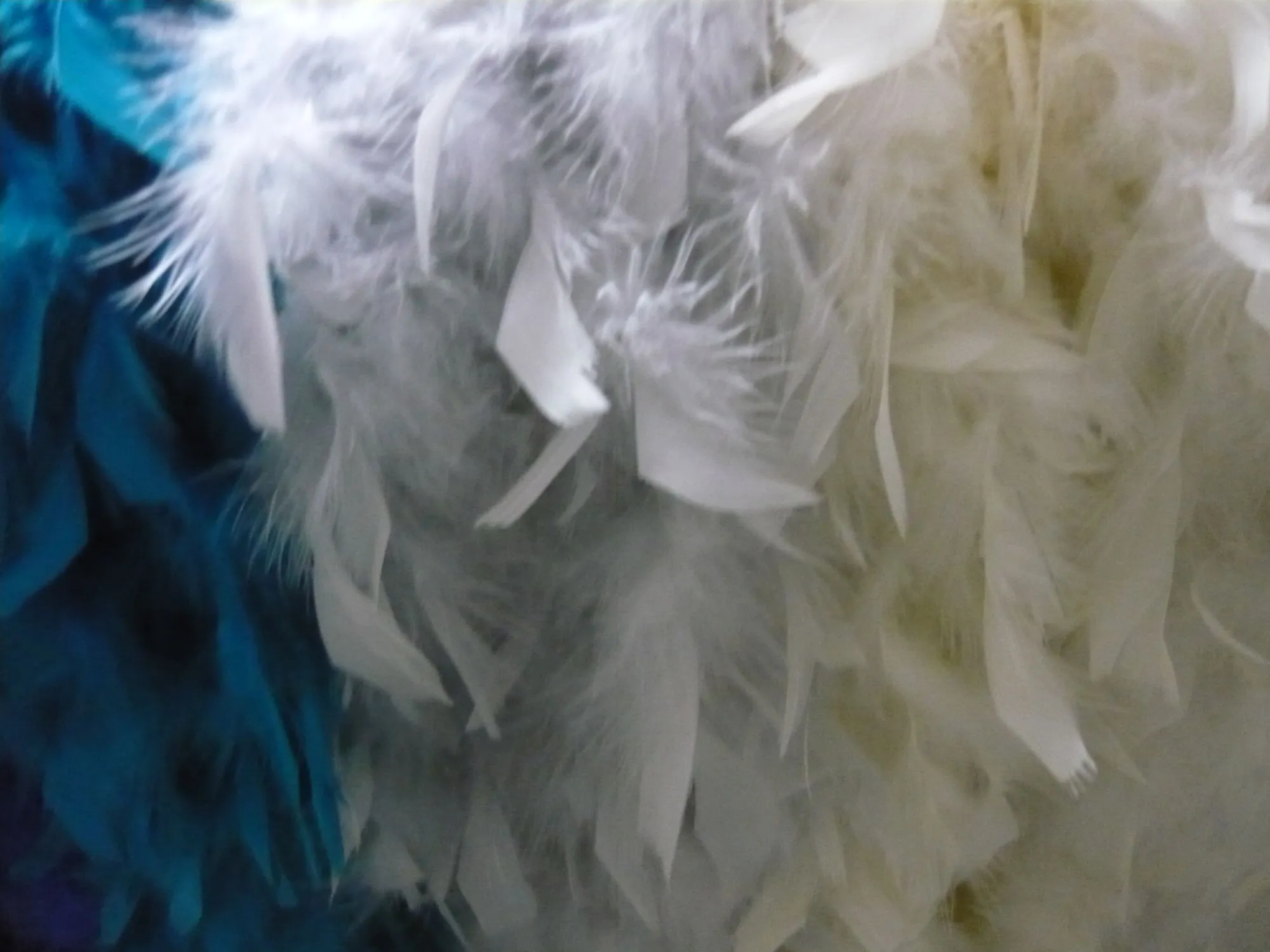 Marabou di piume colorate - immagine 3