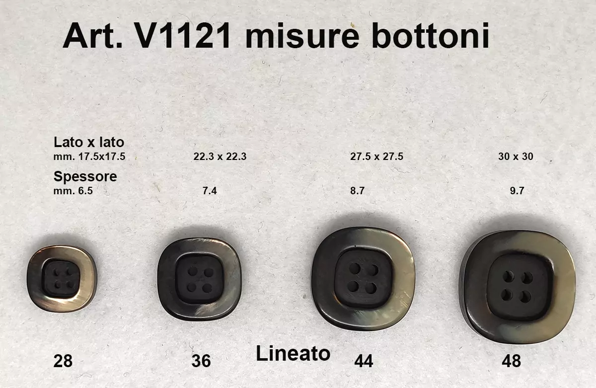 v1121-2.jpg