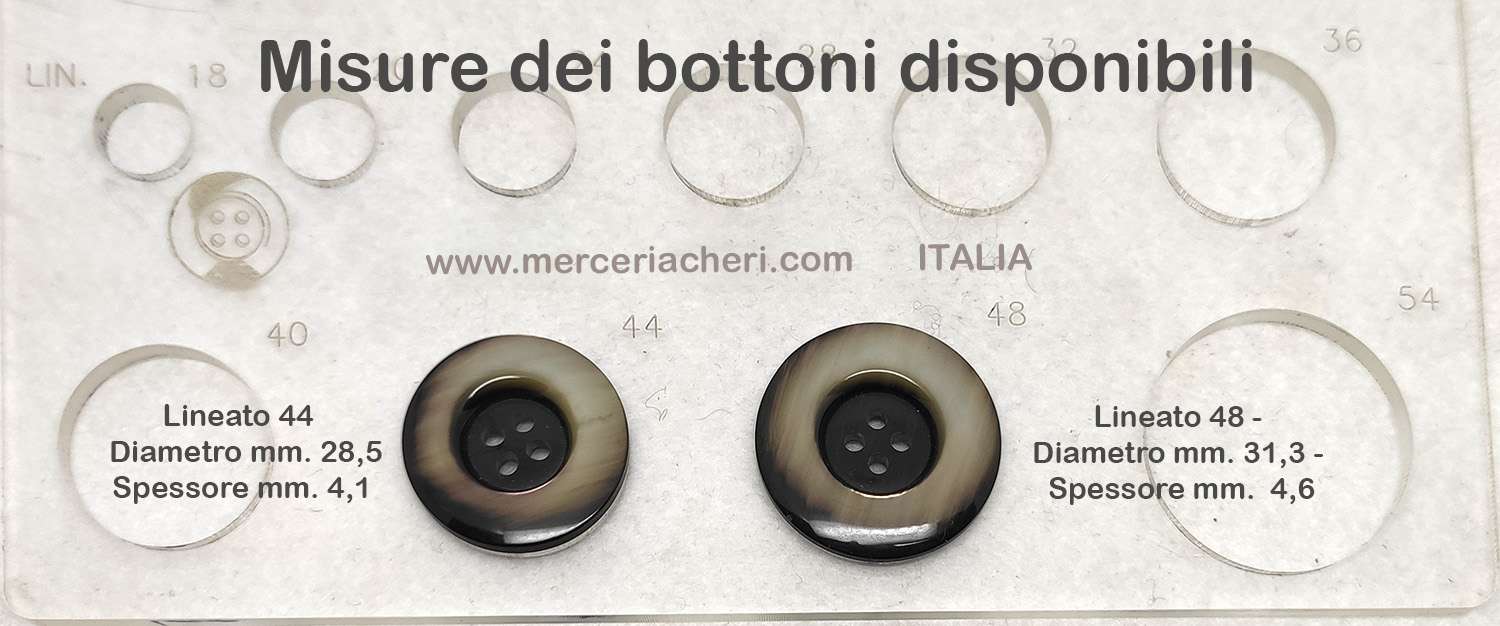 V1131