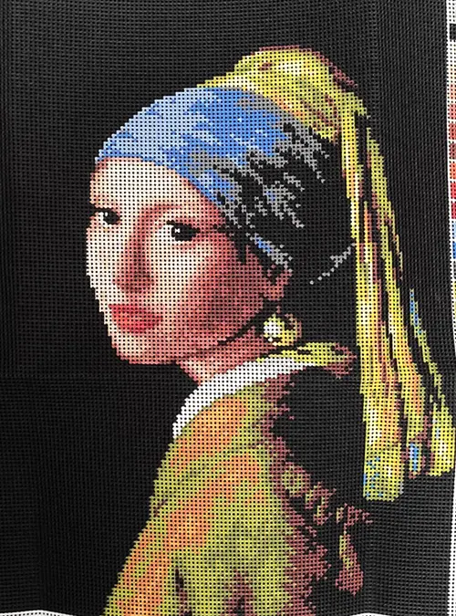 Ragazza con l'orecchino di perla