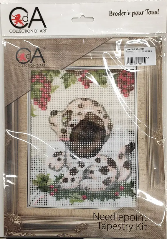 Collection d'art-Cagnolino maculato