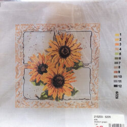 Immagine prestampata per ricamo punto croce