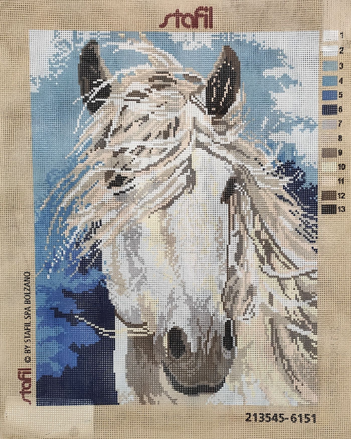 Cavallo bianco canovaccio da ricamare
