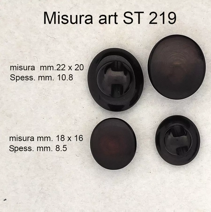 st219-5.jpg