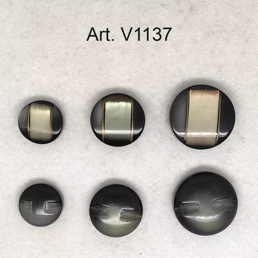 v1137-0.jpg