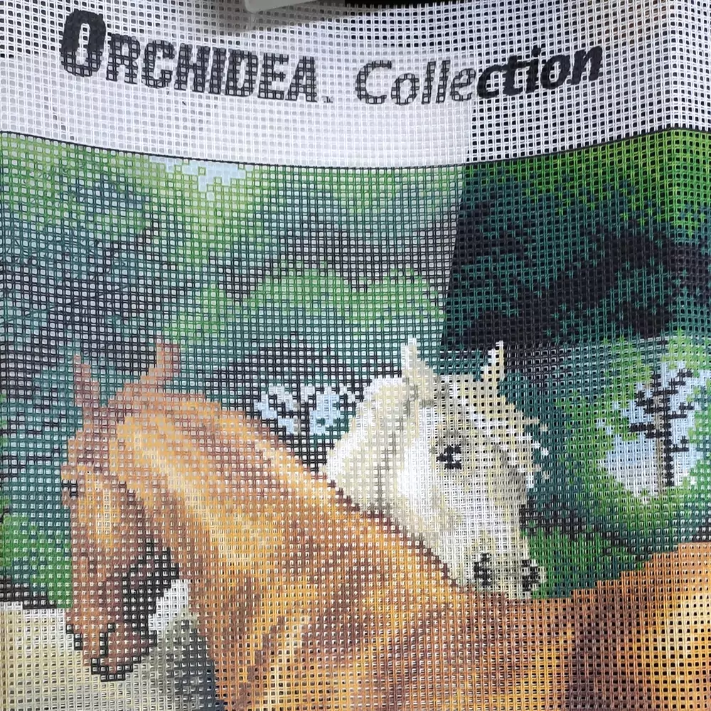 Due cavalli in un recinto Otto Bache - immagine 3