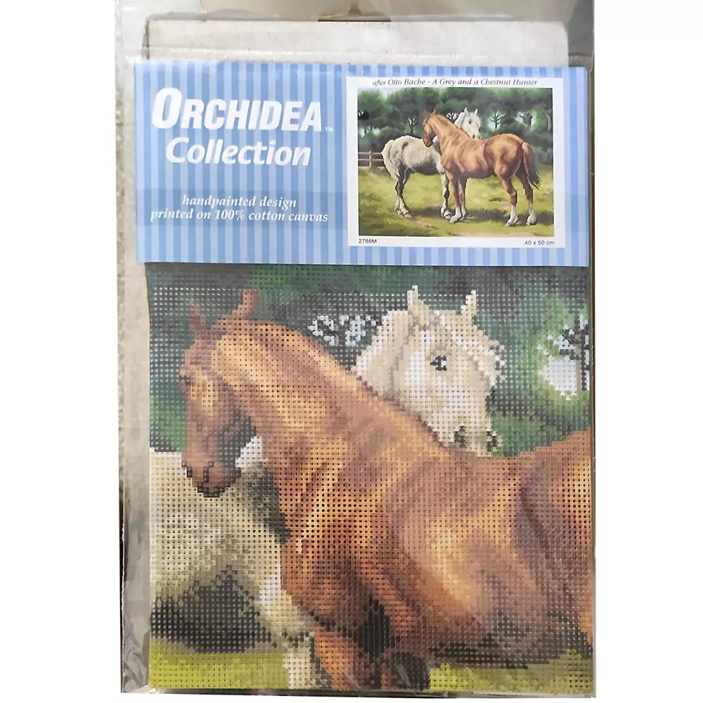 Due cavalli in un recinto Otto Bache - immagine 4