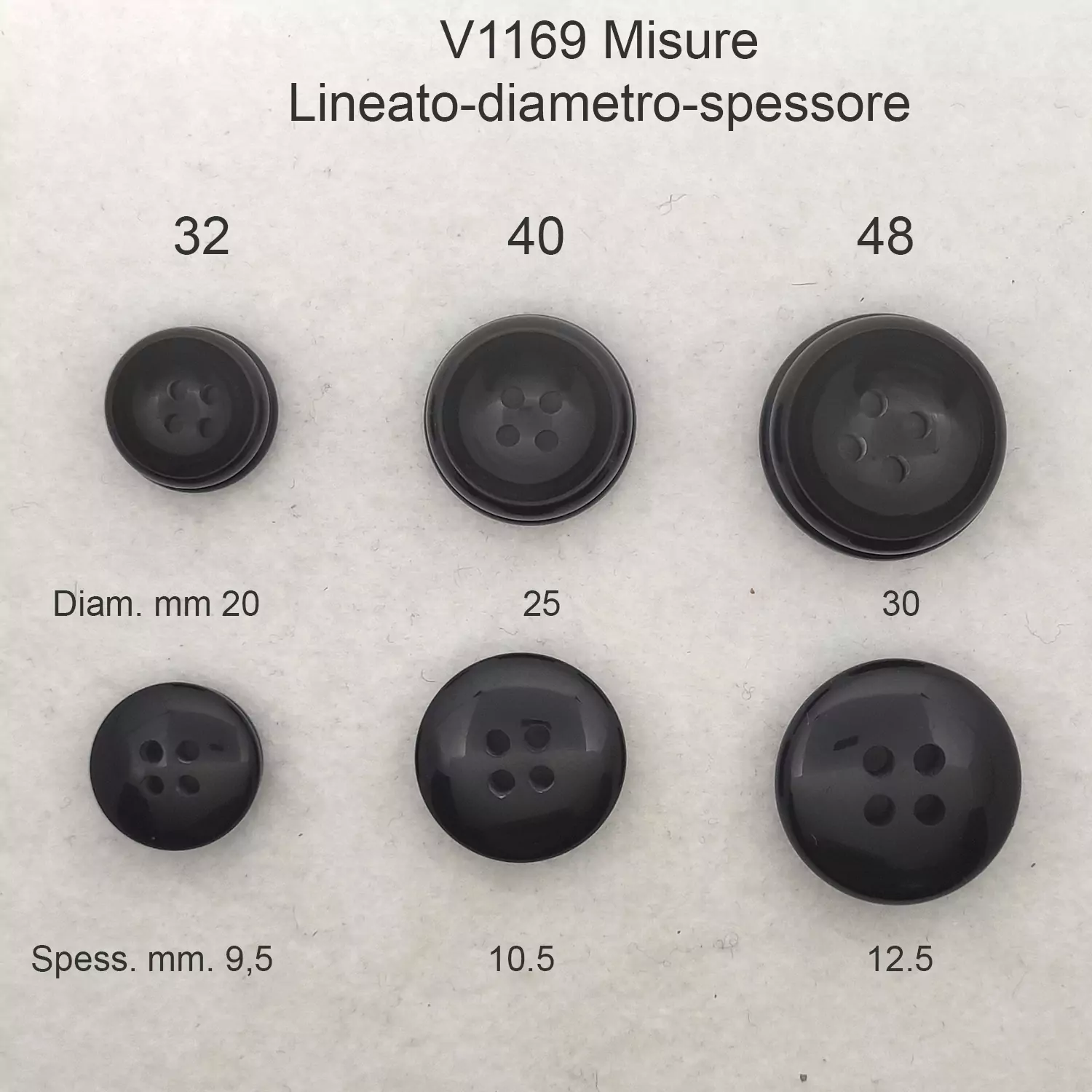 V1169-2.jpg