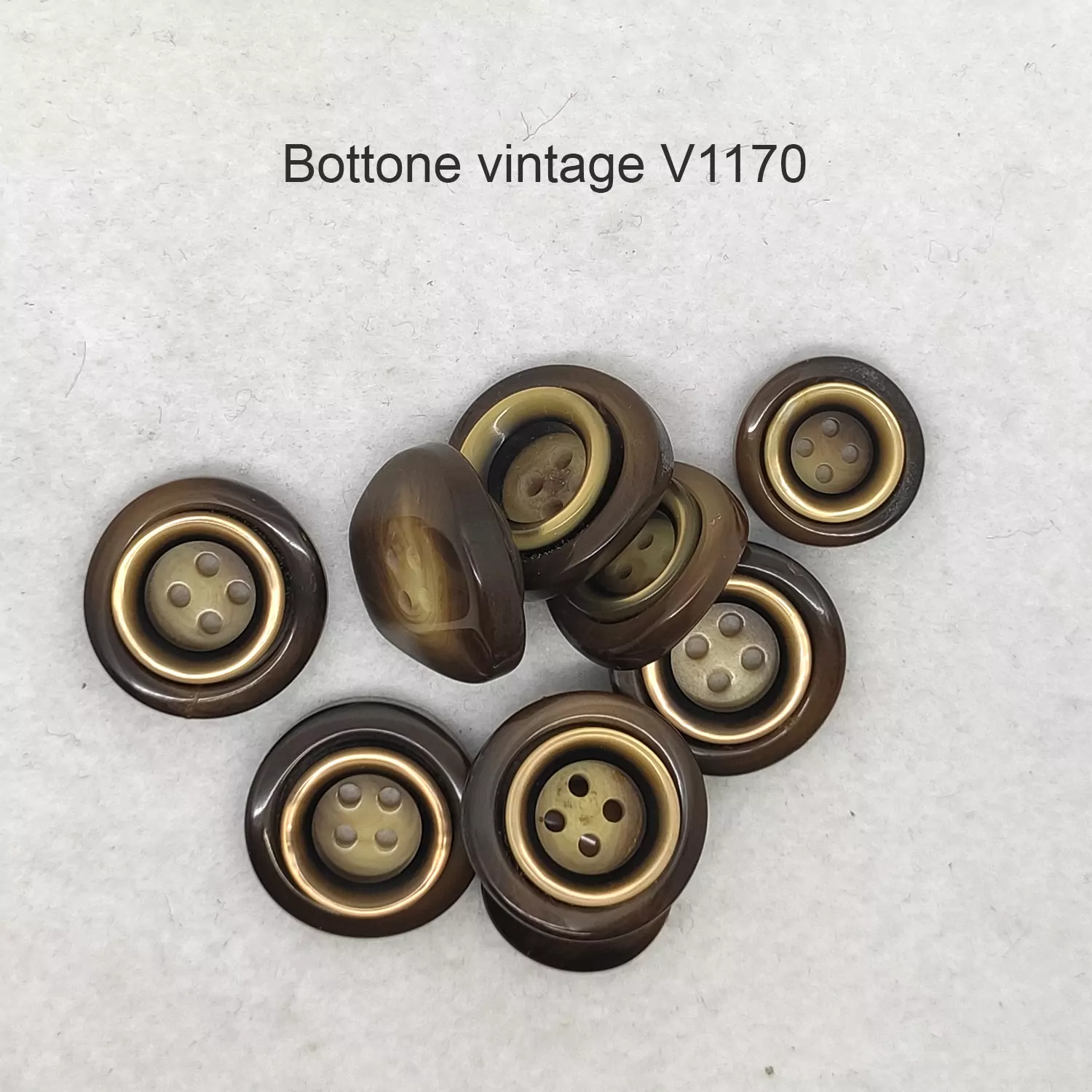 V1170-2.jpg