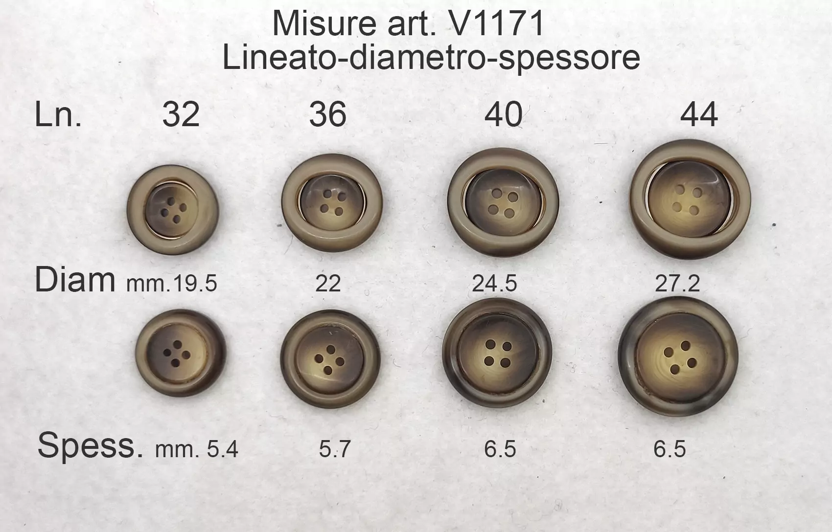 v1171-6.jpg