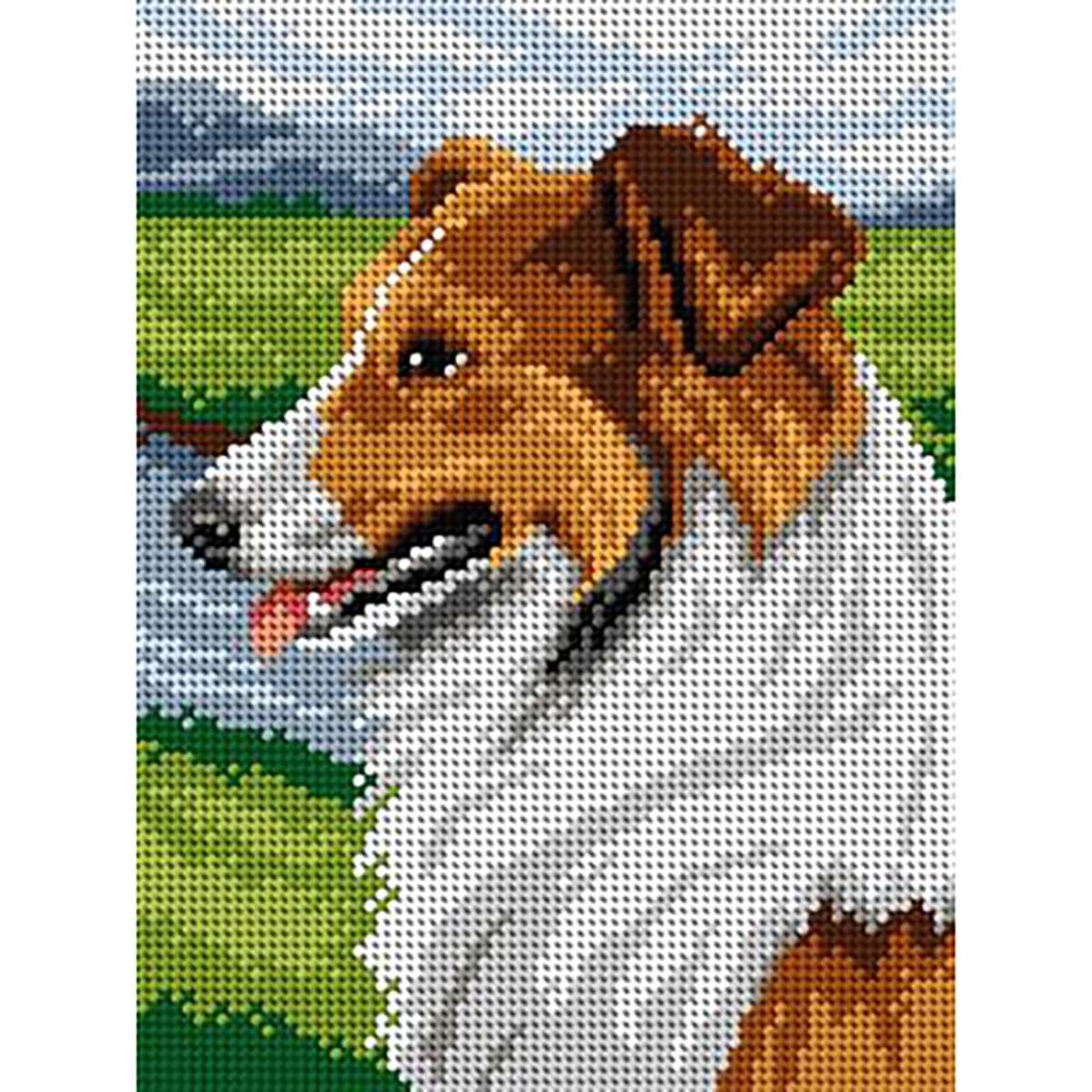 Kit ricamo Rough collie completo di filati